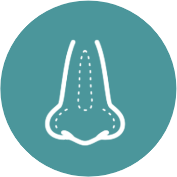 Rhinoplasty